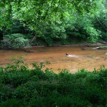 100 Acres / Meherrin River / Price 300,000