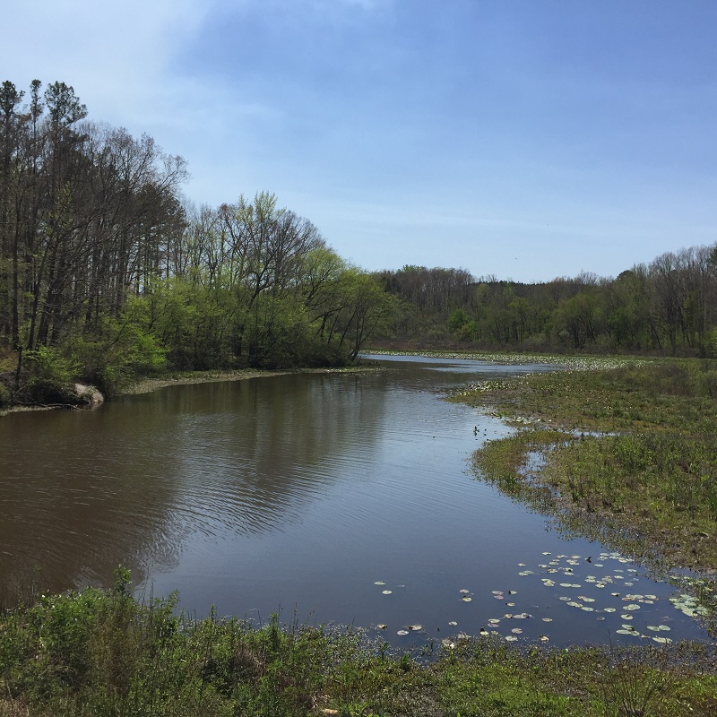 122 Acre Nottoway Reservoir Hunter's Paradise